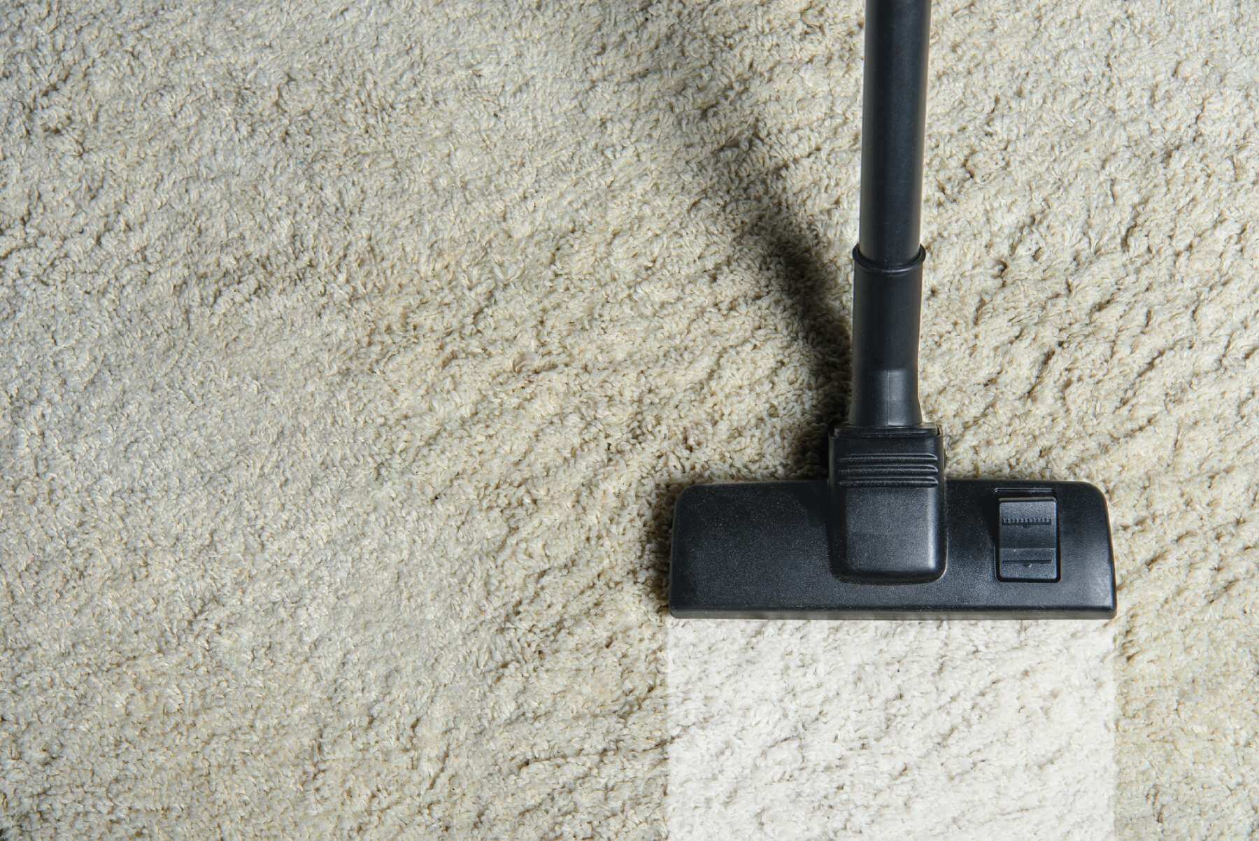 https://www.mightycleancarpetandupholstery.com/wp-content/uploads/2021/08/cleaning-carpet-with-professional-vacuum-cleaner.jpg